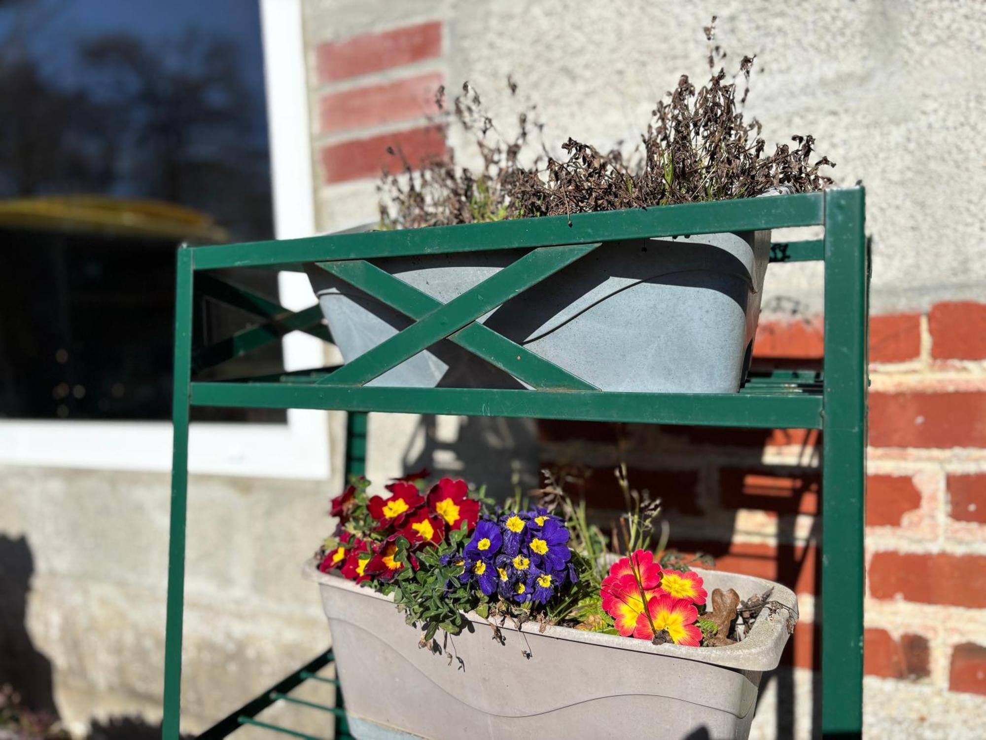 Maison De Campagne Lumineuse Spacieuse Dans Impasse Au Calme A Proximite D'Un Chateau Deux Verandas Grand Jardin Cabane Pour Velos, Pres Port En Bessin Et Bayeux, Proche Plages Du Debarquement Commes Bagian luar foto